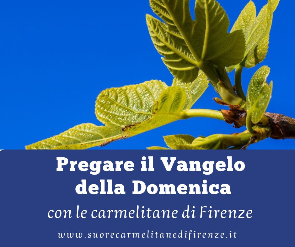 Pregare il Vangelo della XXXIII Domenica: EGLI E’ VICINO